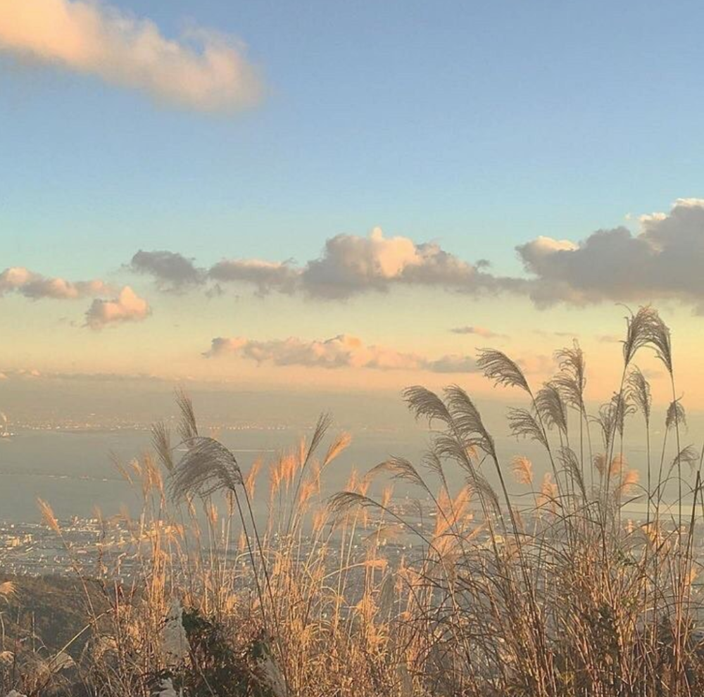  永远笃信善良 永不漠视黑暗 ???
背景图
