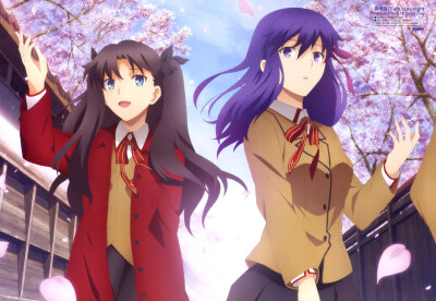 Fate/stay night