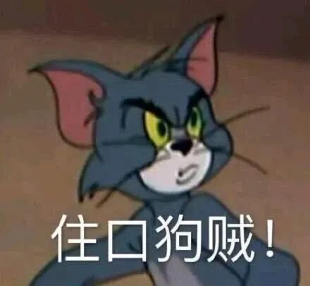 猫和老鼠表情包