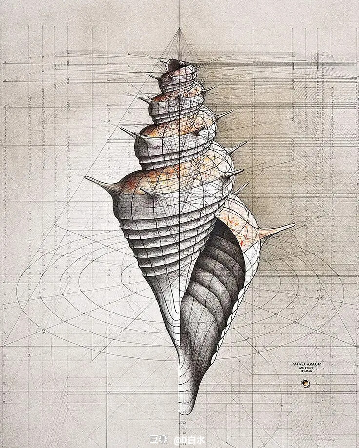 斐波那契数列：震撼心灵的几何美学