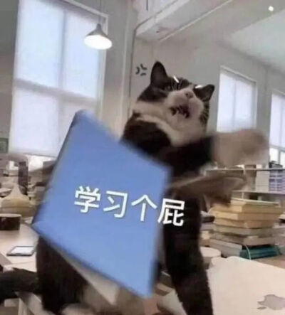 学习