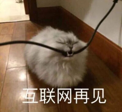 快快乐乐