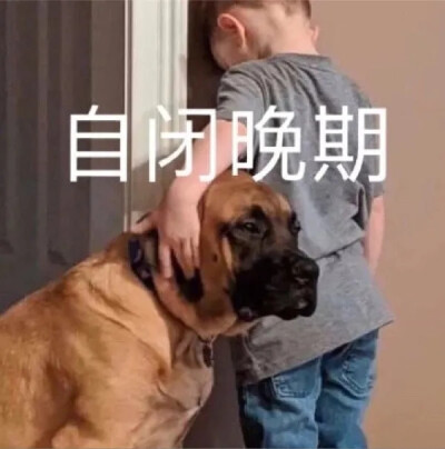 我是个愛笑的人
但并不代表我開心.
*
嘟嘟嘟今日份表情包～
請签收?(?)?礼拿o。