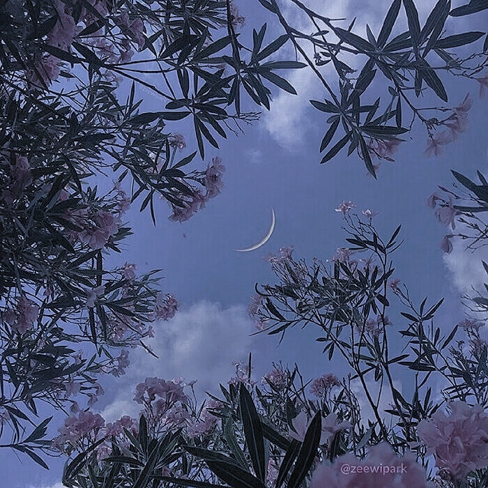 心生七面，善恶难辨.