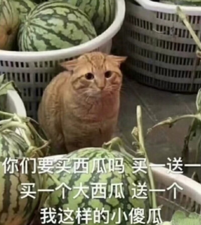 巴啦啦