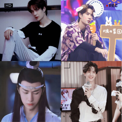 yibo