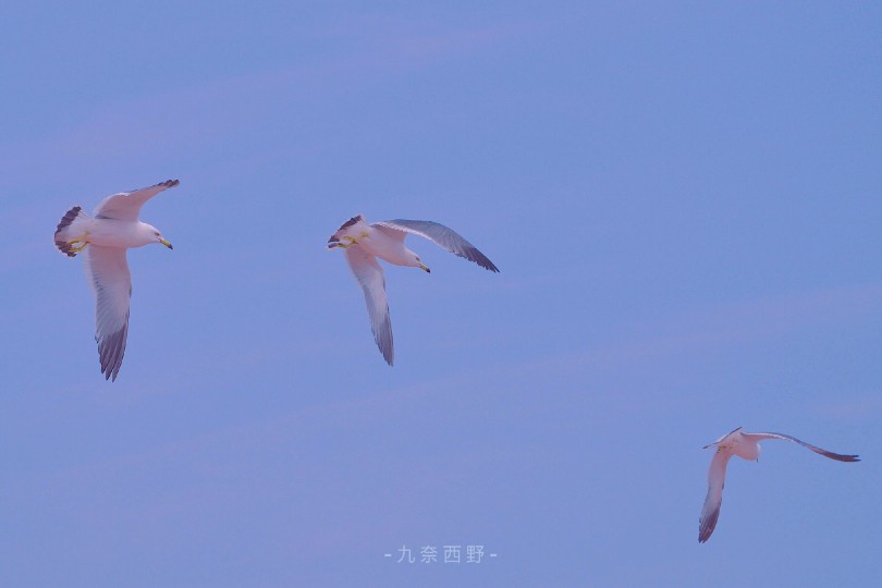 「你走后的天还那么蓝」