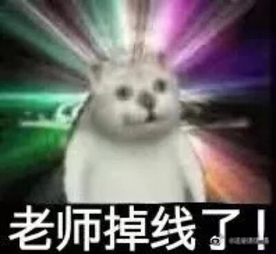 网课表情包