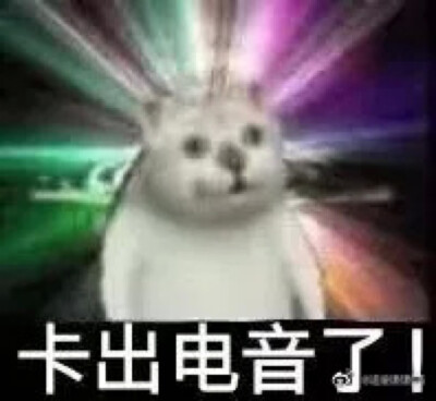 网课表情包