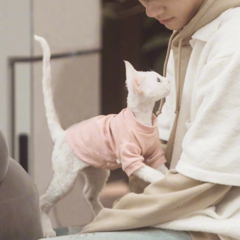 男朋友不想和我用系列