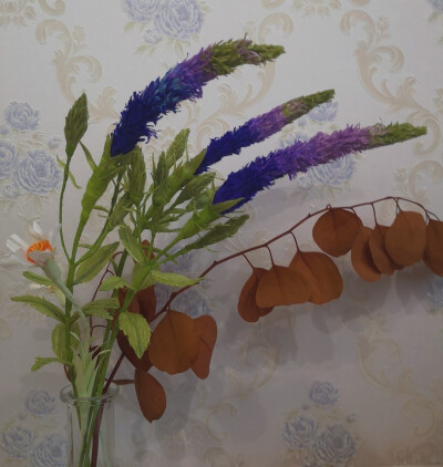 Salvia japonica Thunb | 鼠尾草