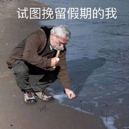 我超爱学习的呢！！！