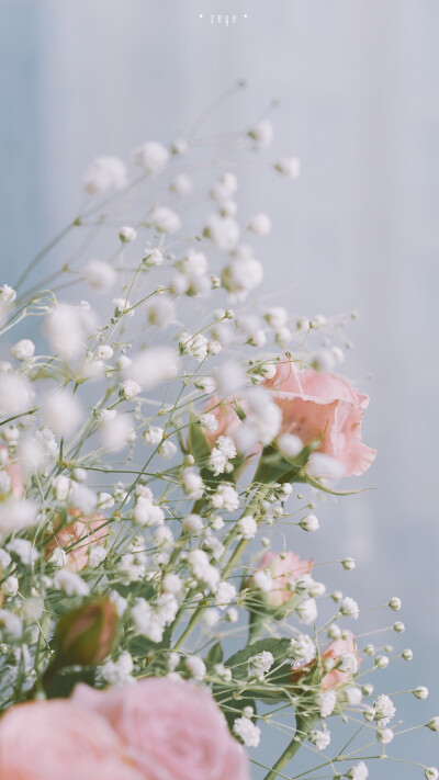 ✨花花温柔少女心手机壁纸 ✨
手机壁纸/风景壁纸/少女心壁纸/锁屏壁纸/可爱壁纸/无水印壁纸/高清壁纸/花 壁纸/温柔壁纸/春天壁纸/聊天背景
来源微博@択野