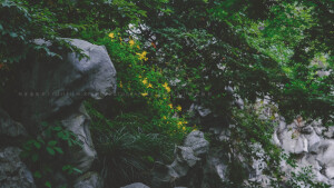 POCO摄影丨壹段青木丨日常摄影丨风景