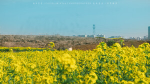 POCO摄影丨壹段青木丨日常摄影丨风景