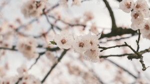 POCO摄影丨壹段青木丨日常摄影丨风景