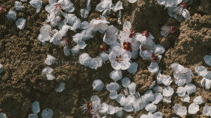 POCO摄影丨壹段青木丨日常摄影丨风景