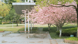 POCO摄影丨壹段青木丨日常摄影丨风景