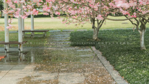 POCO摄影丨壹段青木丨日常摄影丨风景