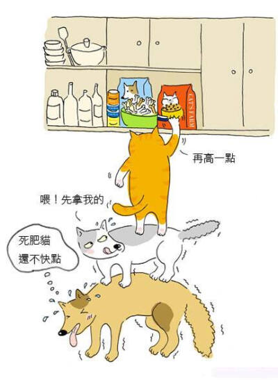 猫小姐的光阴笔记