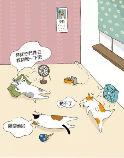 猫小姐的光阴笔记