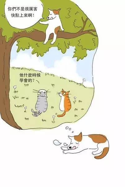 猫小姐的光阴笔记