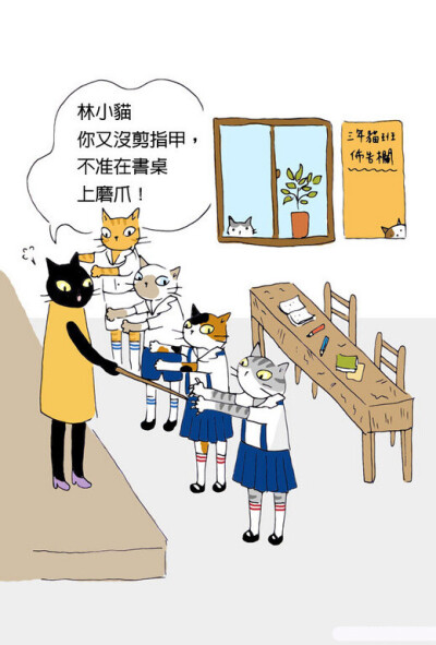 猫小姐的光阴笔记