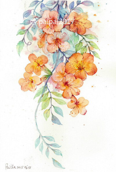 手绘「水彩」