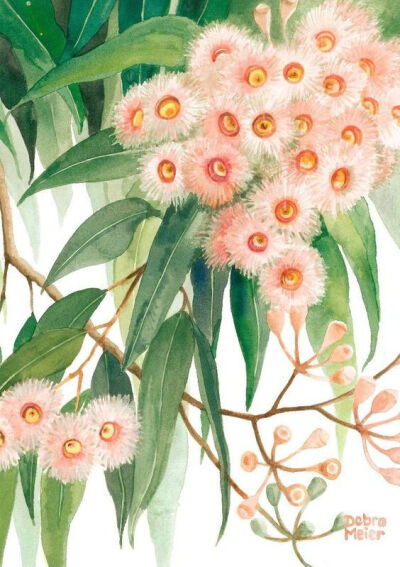 水彩画家 Debra Meier 植物绘画作品 | www.etsy.com/shop/DebraMeierArt