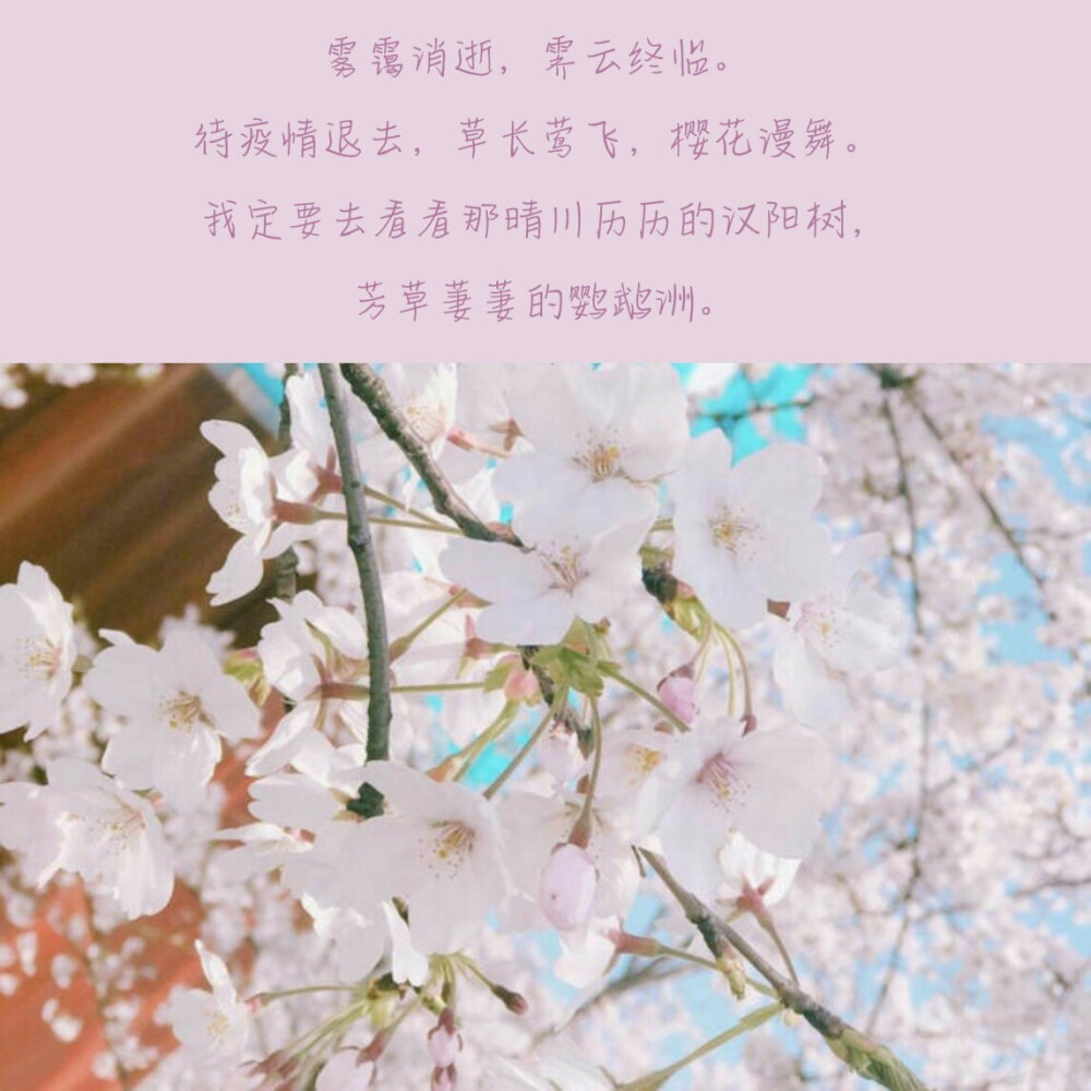 -关于疫情的文案-
-抱图点赞₍ᐢ •⌄• ᐢ₎-