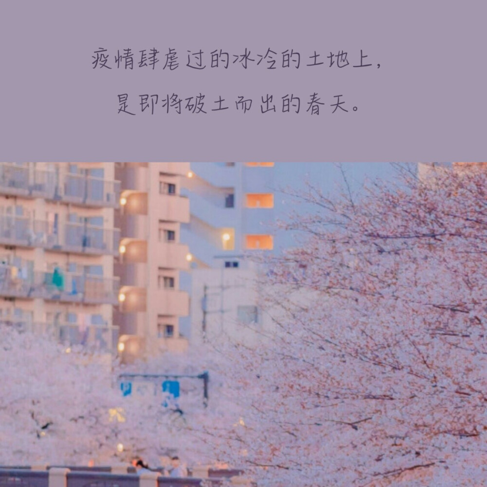 -关于疫情的文案-
-抱图点赞₍ᐢ •⌄• ᐢ₎-