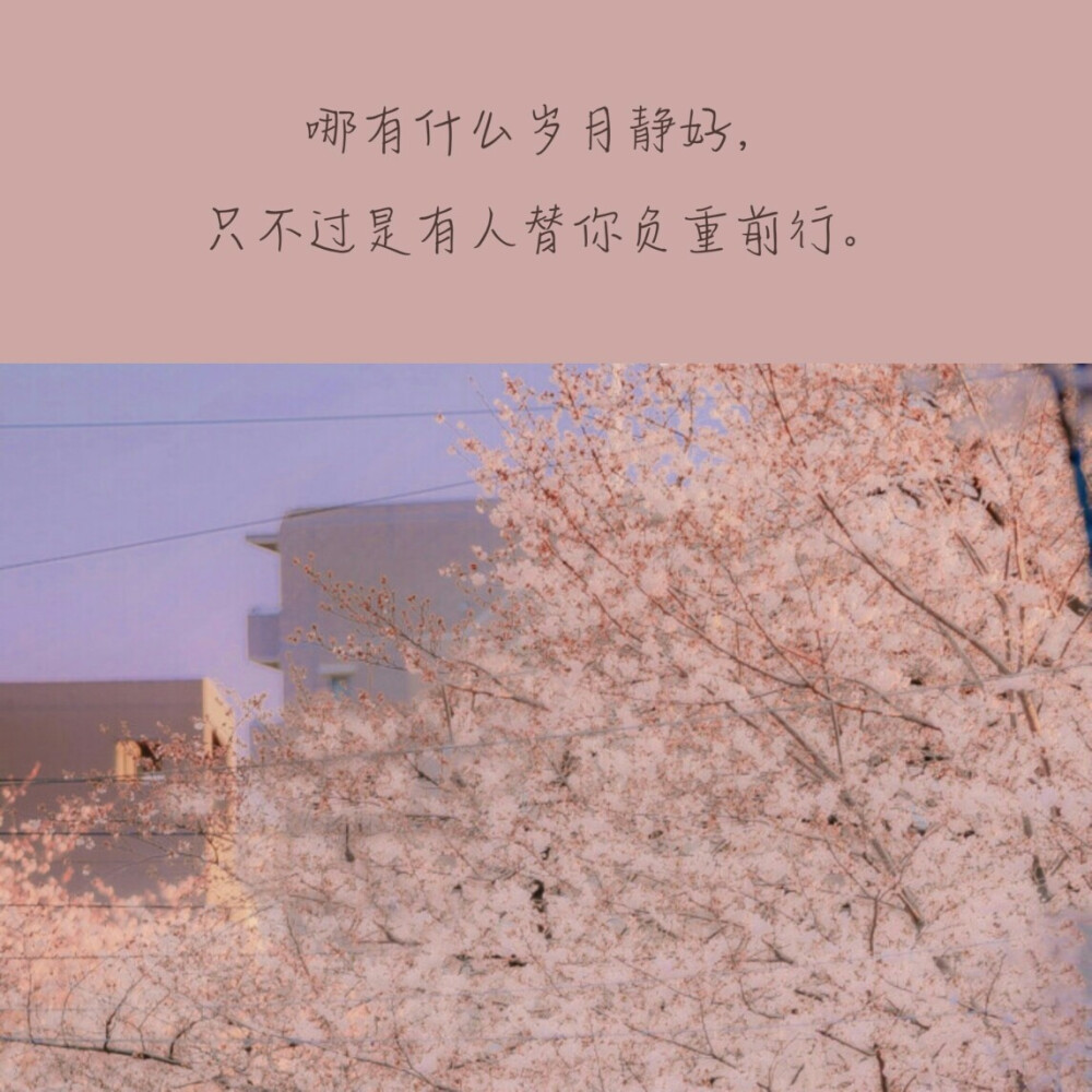 -关于疫情的文案-
-抱图点赞₍ᐢ •⌄• ᐢ₎-