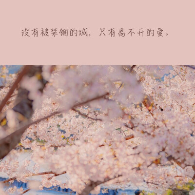 -关于疫情的文案-
-抱图点赞₍ᐢ •⌄• ᐢ₎-