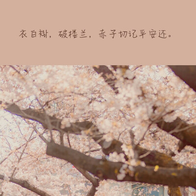 -关于疫情的文案-
-抱图点赞₍ᐢ •⌄• ᐢ₎-