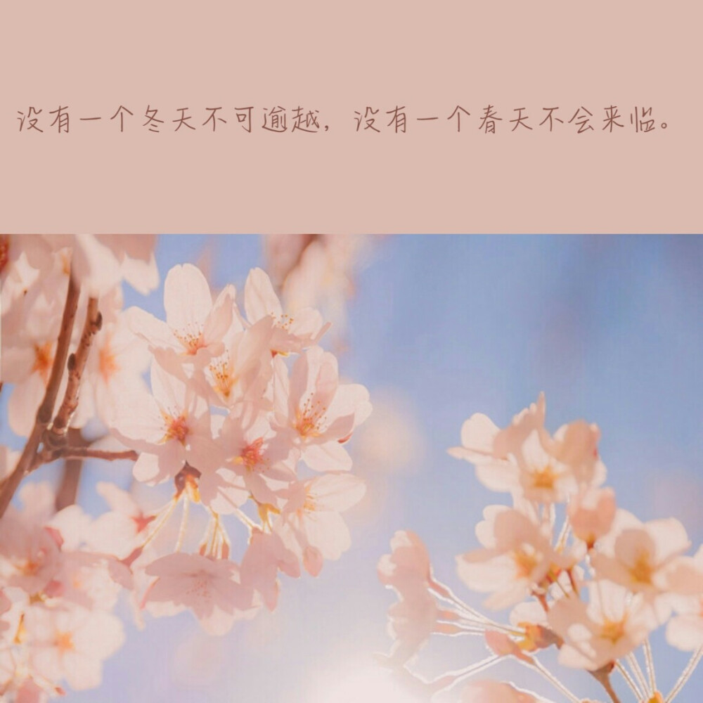 -关于疫情的文案-
-抱图点赞₍ᐢ •⌄• ᐢ₎-