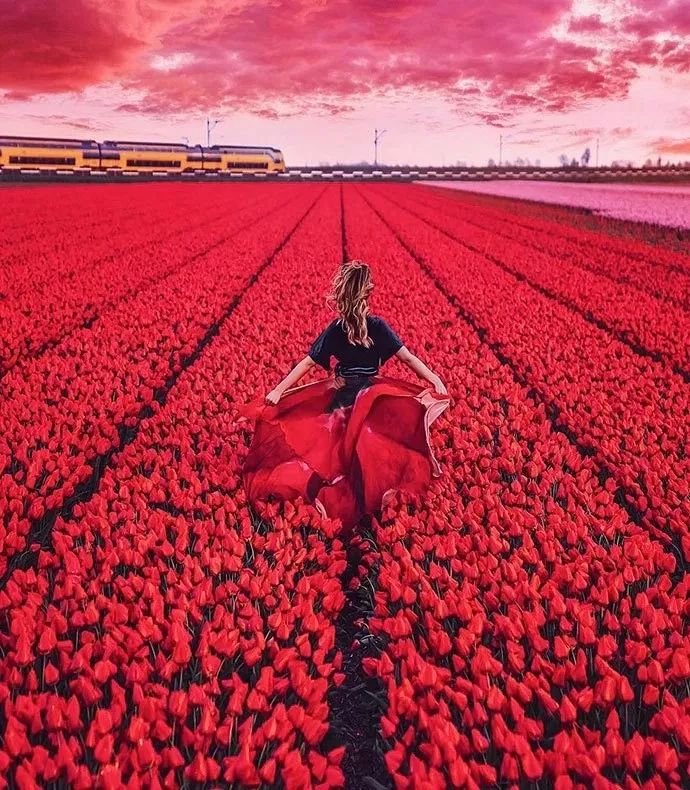 by:里斯蒂娜·梅德瓦（Kristina Makeeva） 俄罗斯