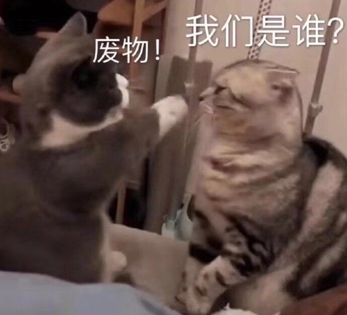 表情包