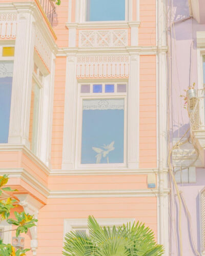 治愈糖果色背景图✨