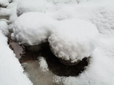 今年冬天拍的小石墩，白白的雪花像……米饭 馒头 冰沙 奶盖