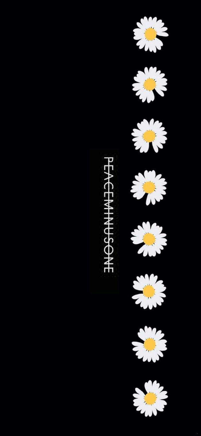 权志龙 小雏菊GD