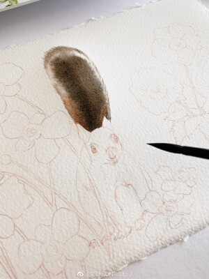 春天里的小松鼠 花卉与动物