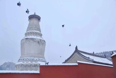 唯美风景图片哦～