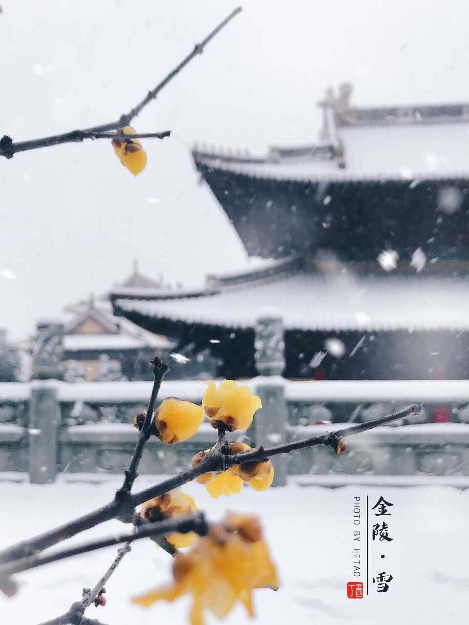 金陵 大雪