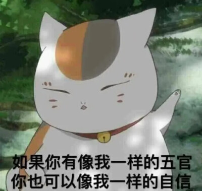 猫咪老师