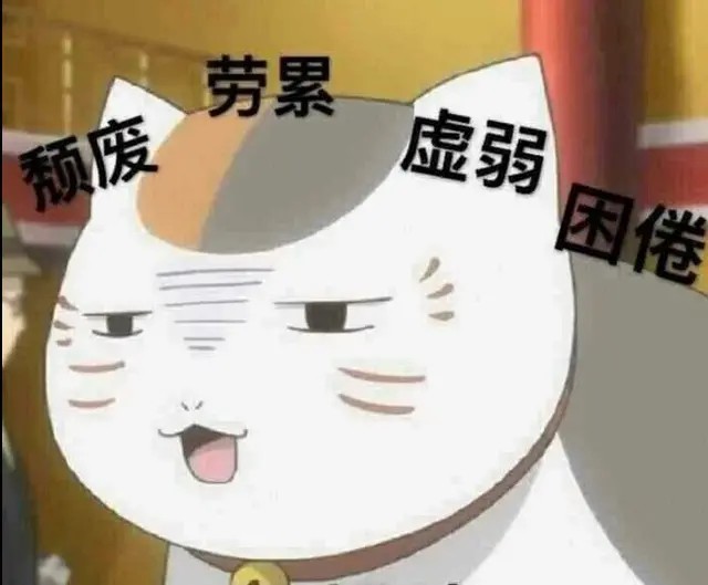 猫咪老师