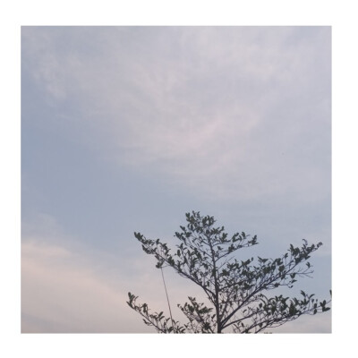 等到分不清季节更替，才敢说沉溺。
——《水星记》