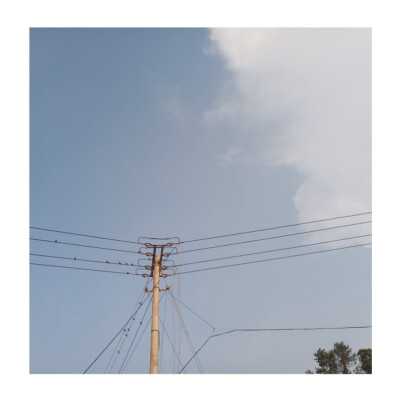 等到分不清季节更替，才敢说沉溺。
——《水星记》