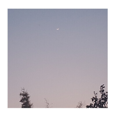 等到分不清季节更替，才敢说沉溺。
——《水星记》