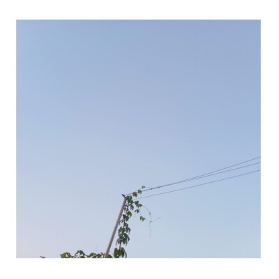 等到分不清季节更替，才敢说沉溺。
——《水星记》