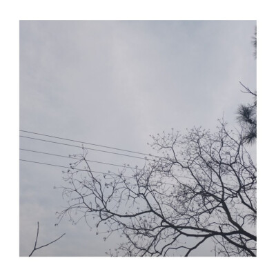 等到分不清季节更替，才敢说沉溺。
——《水星记》